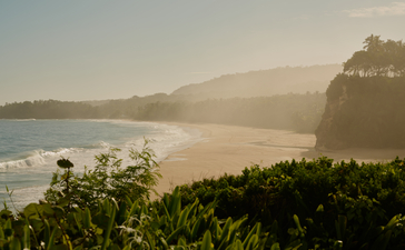 Amanera's beach at dawn, with soft light across golden sand and calm waters, framed by lush greenery.