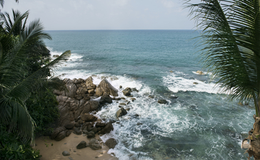 Coastal view of turquoise waters and rocky shoreline framed by palm fronds at Amanpuri, Thailand.