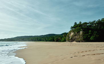 Do not use - Chris Colls imagery 11