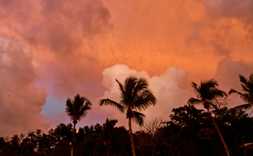 Do not use - Chris Colls imagery