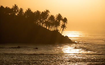 Sunrise over the Indian Ocean at Amanwella, with silhouetted palms lining the Sri Lankan coastline.