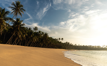 Amanwella's sandy beach with gentle waves and palm trees lining the Sri Lankan shore.