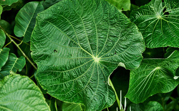 Do no use - Chris Colls Imagery 