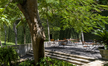 Shaded tree beside a sunlit courtyard at Amangalla, Sri Lanka.