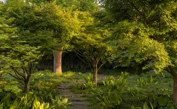 Stone pathway through lush woodland gardens at Amanyangyun, China.