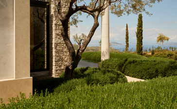 安缦卓熠度假村豪华池畔亭pavilion外的绿地，古树和柏树点缀其中。