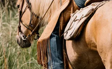 Saddled horse ready for riding at Amangani, Jackson Hole.