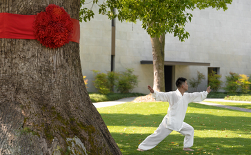 Person practising tai chi beneath an ancient tree at Amanyangyun, China.