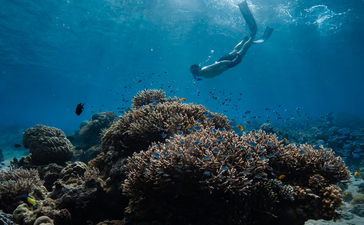 浮潜者在安缦湾澜度假村附近的珊瑚礁上方游泳，阳光透过清澈的蓝色海水照射下来。