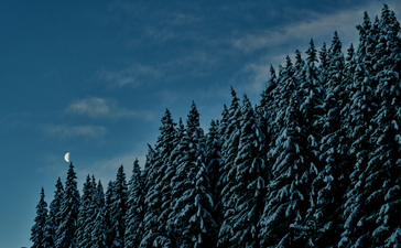 aman_le_melezin_do_not_use