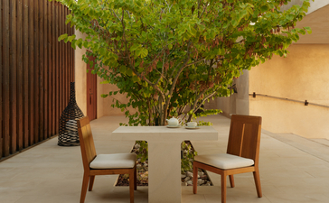 Girijaala Suite seating area with two wooden chairs beneath a lush tree at Amangiri resort.