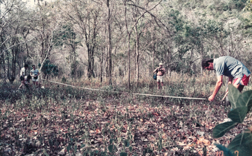 Visitors walking through a woodland area at Amanwana, surrounded by tall trees and leaf-covered ground.