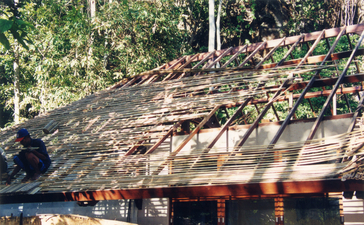 Wooden boardwalk with dappled sunlight through trees at Amanwana.