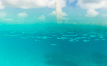 Turquoise waters and sky at Amanyara, Turks and Caicos.