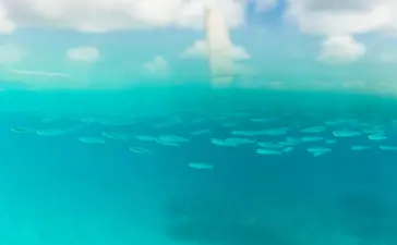 Turquoise waters and sky at Amanyara, Turks and Caicos.