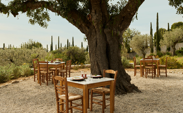 Dining tables and chairs arranged beneath a sprawling olive tree at Amanzoe, with cypress trees visible in the Mediterranean landscape beyond.