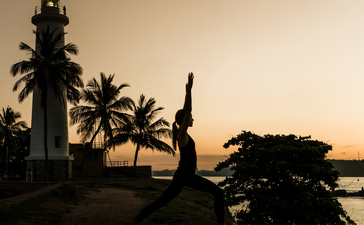 Silhouetted palm trees and tropical vegetation at sunset along the water at Amangalla, Sri Lanka.