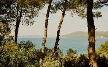 Amanruya resort sea view framed by tall pine trees overlooking calm Turkish waters.