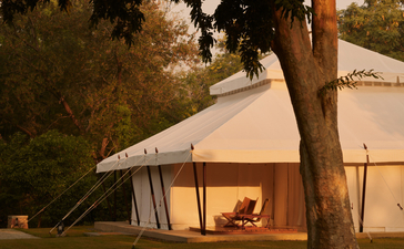 Spa exterior at Aman-i-Khas at dusk, with illuminated canvas pavilion beneath a large tree.