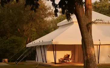 Spa exterior at Aman-i-Khas at dusk, with illuminated canvas pavilion beneath a large tree.