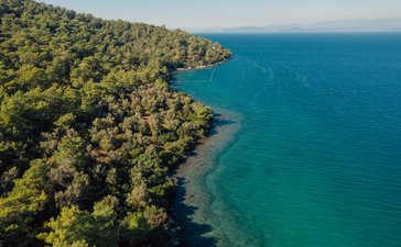 Aerial view of Amanyura's forested coastline meeting turquoise waters.