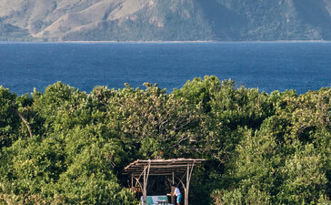 Guide on a nature walk through tropical forest overlooking the sea at Amanpulo resort, Philippines.