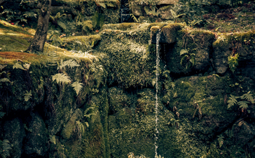 Sunlit woodland garden with moss-covered stones and a small stream at Aman Kyoto.