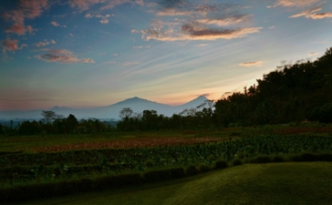 Chef's table dining venue in a traditional joglo structure overlooking rice paddies at Amanjiwo, Java, at dusk.