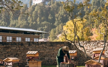 Elephant in manicured gardens at Amankora Bumthang, with traditional architecture and forested mountains beyond.