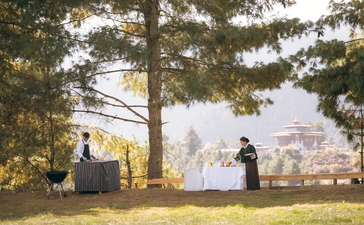 Amankora guest standing in golden afternoon light beneath tall pines, Bumthang valley visible beyond.
