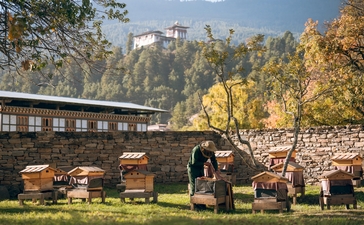 Amankora's courtyard in Bumthang with traditional wooden architecture and golden autumn foliage on surrounding cliffs.