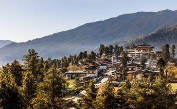 Gangtey Goempa village nestled among forested hills at Amankora, Bhutan, with traditional architecture dotting the mountainside.