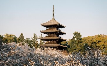 Aman Kyoto, Japan - Sakura Season
