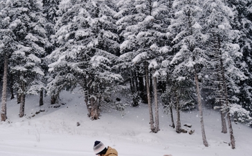 Skier and snowboarder walking through snow-covered pine forest at Aman Le Mélézin, France.