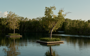 Villa 8 Tranquility Ponds at Amanyara resort, Turks and Caicos, with mangrove trees reflected in still water.