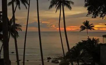 安缦璞瑞度假村的日落景观，安达曼海沙滩上方棕榈树剪影映衬金色天空。