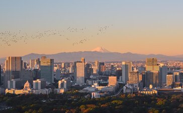 Vista de Tokio y el Monte Fuji al atardecer desde Aman Tokyo.