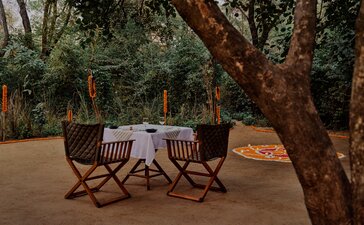 Forest dining setup at Aman-i-Khas with table and chairs beneath ancient trees at dusk, India.