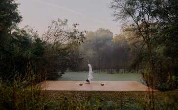 Yoga platform surrounded by trees at Aman-i-Khas, India, at dawn.