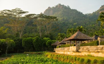 Menoreh Pavilion at Amanjiwo overlooking rice paddies with forested hills beyond, Indonesia.