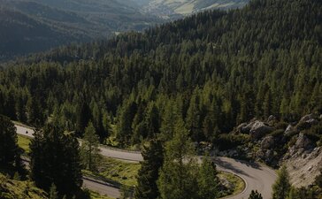 Cyclist on mountain road with alpine valley and forested peaks at Aman Rosa Alpina resort.