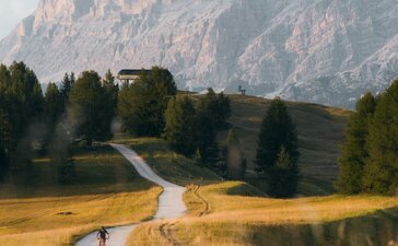 Mountain biker on winding trail through golden meadow at Aman Rosa Alpina resort, Italy.