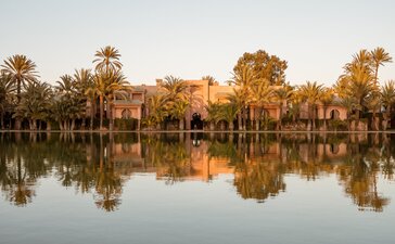 Palm trees reflected in still water at Amanjena, Morocco.