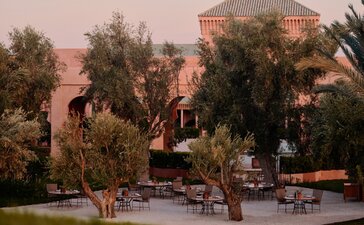 Amanjena's Olive Grove Terrace at dawn, with riad architecture and seating areas among mature olive trees.