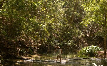 Trekking through dense forest canopy towards Barry's Fall waterfall at Amanwana, Indonesia.