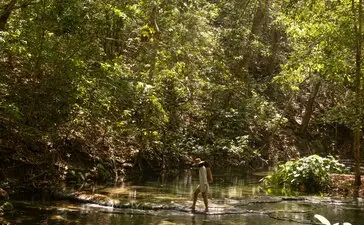 Trekking through dense forest canopy towards Barry's Fall waterfall at Amanwana, Indonesia.