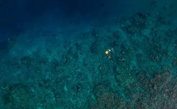 Amanwana, Indonesia, Nature