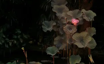 Amandari, Ubud, Bali, Indonesia - Lotus Pond