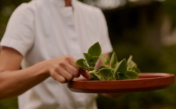 Person in white shirt holding a red bowl of fresh green vegetables at Amanera.
