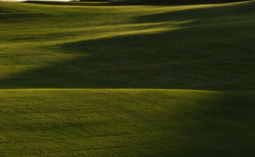 Manicured fairway at Costa Palmas Golf Club with palm trees at Amanvari, Mexico.